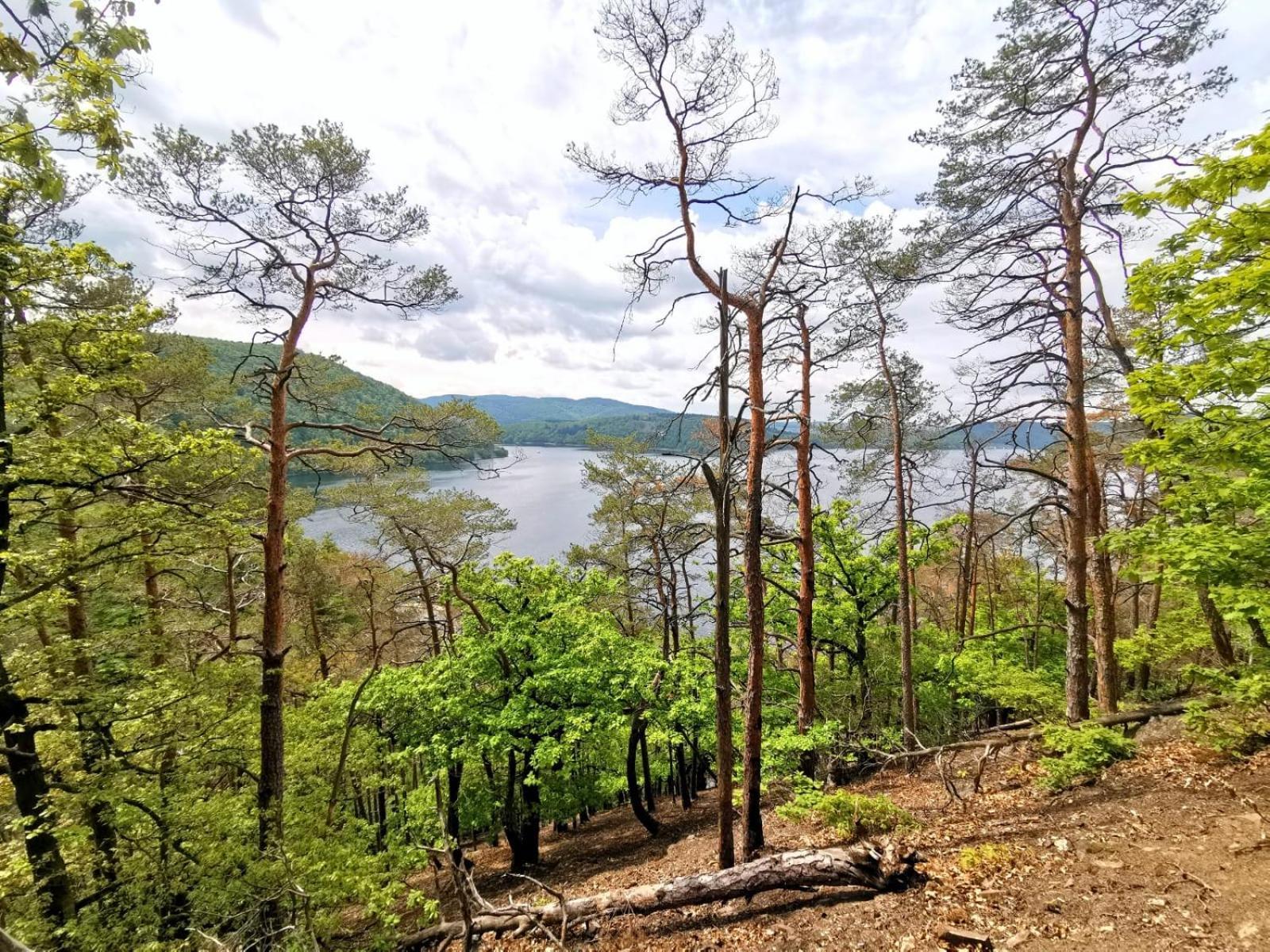 Ferienhaus Schoene Aussicht Ferienwohnung Gruen Hemfurth-Edersee Εξωτερικό φωτογραφία